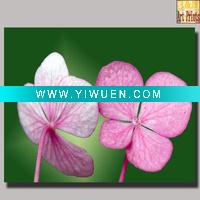 Wholesale Painting canvas print for promotion gift