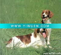 Wholesale Animal oil painting(Dog canvas painting)
