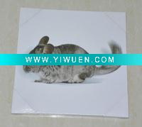 Wholesale Animal canvas prints