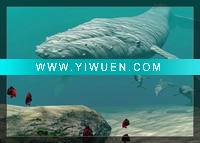 Wholesale Picture Printing Painting