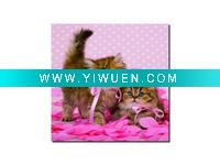 Wholesale Lovely Cat -Canvas Prints