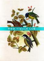 Silk Birds Painting