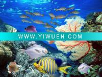 Wholesale Printing Seascape YM-15018