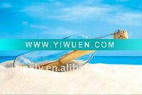 Wholesale messenger bottle on the sand beach glass painting