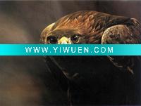 Wholesale Handmade Animal(hawk) Oil Painting On Canvas