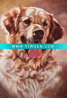 Wholesale Handmade Impression Animal Oil Painting