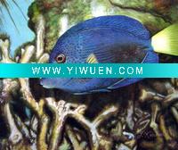 Wholesale Handmade Animal(fish) oil painting On Canvas