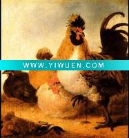 Wholesale Handmade Animal(chook) Oil Painting On Canvas