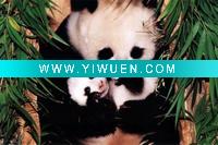 Wholesale giclee printing aluminum