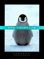 Wholesale fine aluminum art