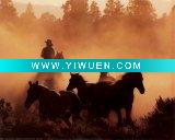 Wholesale animal stretched wrapped canvas