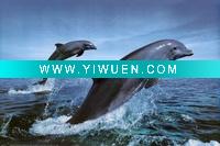 Wholesale Digital aluminum art