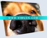 Wholesale pets On Canvas