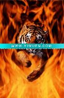 Wholesale aluminum art