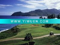 Wholesale kauai-hawaii-usa) canvas painting for living room