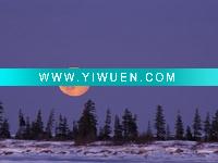 Wholesale (norbert-rosing-an-orange-full-moon-rises-over-a-snowy-landscape) oil painting art for living room