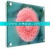 Wholesale Digital acrylic printing
