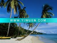 Wholesale (grand-anse-beach-grenada) canvas painting for living room