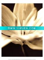Wholesale (cinzia-ryan-radiance-iii)canvas on aluminum