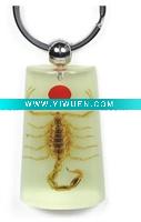 Wholesale cool gift--Real scorpion keychain