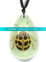 Wholesale holiday gifts--Real bug necklace,glowing in dark, kids& boys love them