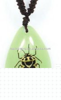 Wholesale Crystal jewelry--Real insect necklace,Harlequin Bug , glowing in dark