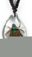 Wholesale Crystal pendant-Real insect pendant,Shining beelte