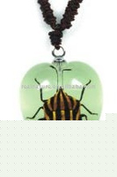 Wholesale Crystal necklace--Real insect necklace,Red-striped Stink Bug, glowing in dark