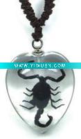 Wholesale glass necklace--Real insect necklace, Black scorpion