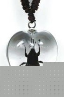 Wholesale glass necklace--Real insect necklace,bamboo weevil