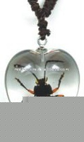 Wholesale glass necklace--Real insect necklace,dotted Beetle