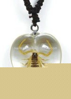 Wholesale glass necklace--Real insect necklace, scorpion