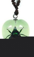 Wholesale Crystal necklace--Real insect necklace,Lucky Golden Chafer, glowing in dark