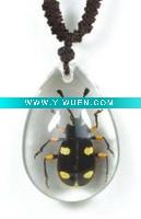 Wholesale glass jewelry--Real insect jewelry,dotted beetle