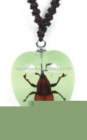 Wholesale Crystal necklace--Real insect necklace,Bamboo Weevi, glowing in dark
