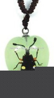 Wholesale Crystal necklace--Real insect necklace,Dotted beetle, glowing in dark