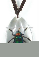 Wholesale glass jewelry--Real insect jewelry,green beetle