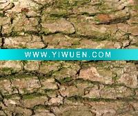 Wholesale Pine Bark Extract Powder 95% OPC by UV