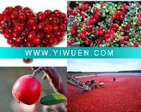 Wholesale MAII hzwang( )greenskybio( )com Cranberry P.E
