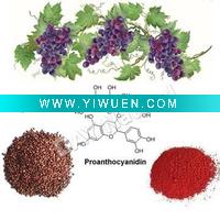 Wholesale OPC 95%-----Grape Seed Extract