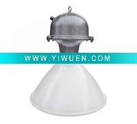 Wholesale ENLAM factory induction lamp