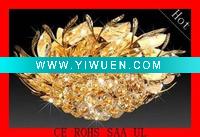 Wholesale 2011 Gold Crystal light