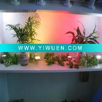 Wholesale 3W/12W low energy-consumption LED spotlight
