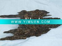 Wholesale Agarwood sinking from sarawak