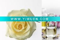 Wholesale sale incense fragrance with rose odor