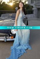 Wholesale 2011 Fashion lady evening dress