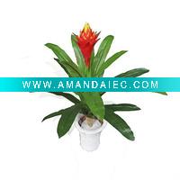 Wholesale fashion artificial floral bonsai Silk Flowers BT02Y37