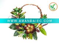 Wholesale Peony Wreath