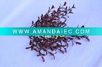 Wholesale artificial plant