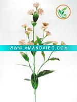 Wholesale Snow berry